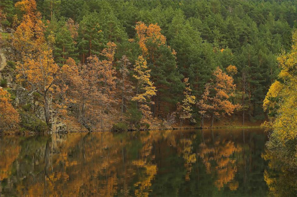 Cambio Climático (Madrid)